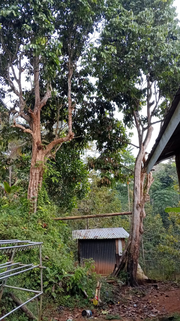 Foto Aduan