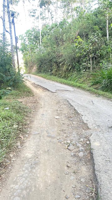 Foto Aduan